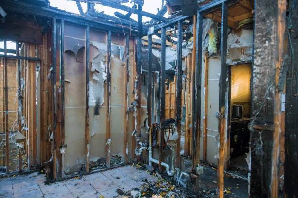 Professional Fire Damage Removal technician working in Sulphur Springs, AR